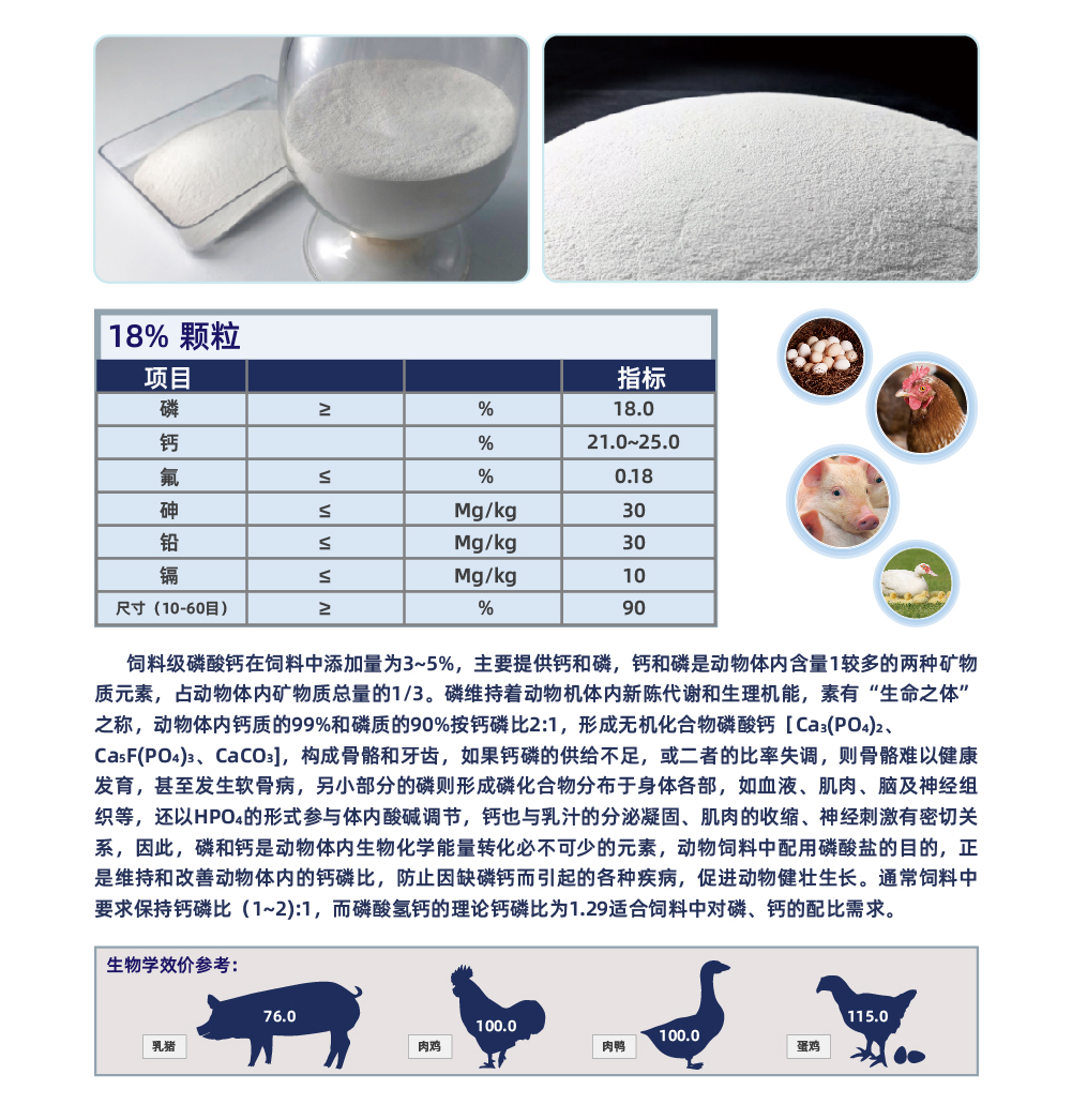 飼料級磷酸氫鈣_畫板 1 副本 3.jpg